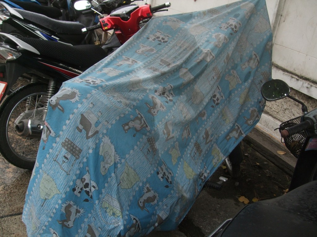 Someone's bike cover. I like the little cartoon characters. 