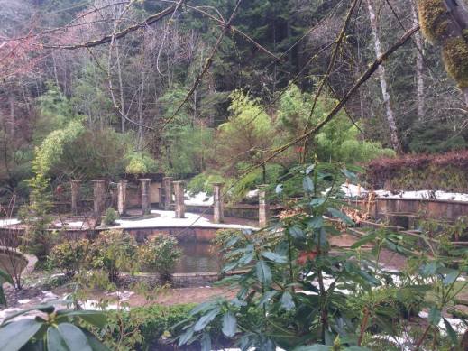 16779778_695678700611767_217651106_n