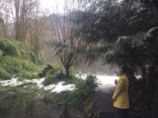 16780376_695678747278429_2147397987_n