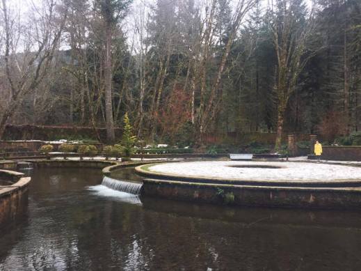 16780537_695678633945107_1986960494_n