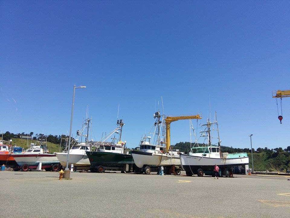 19489653_10155020314162562_300021823_n