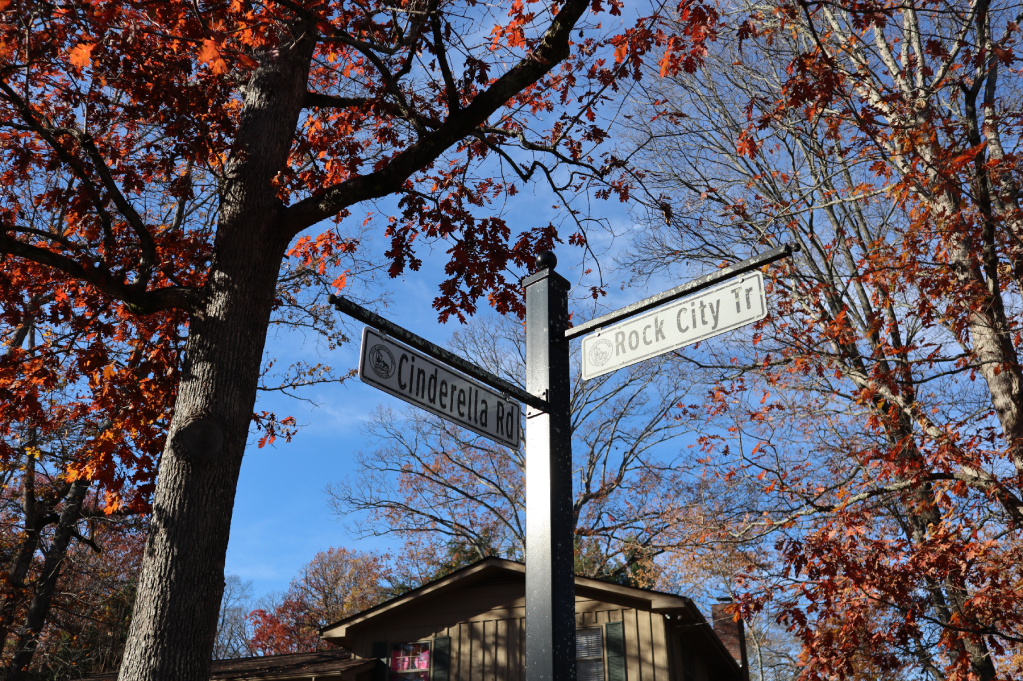 I Moved Again (November 2024 Life&nbsp;Update)