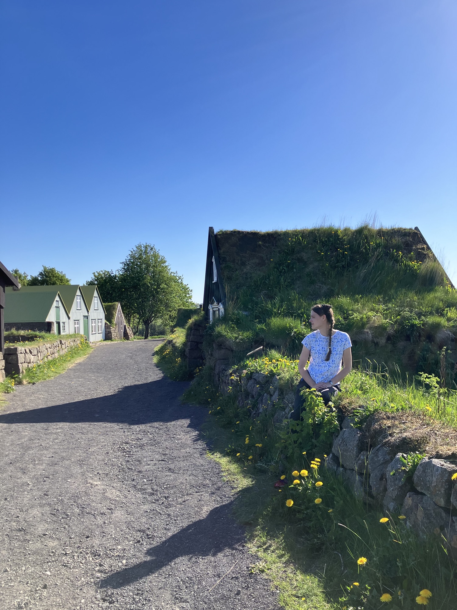 The Last Days of the Iceland Adventure: Reykjavik, Blue Lagoon